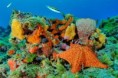 /album/fotogaleria-panama/panama-58-jpg1/